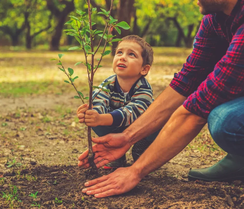 foster carer payments